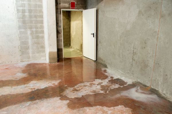 Cost of Wet Basement Repair in Fenton